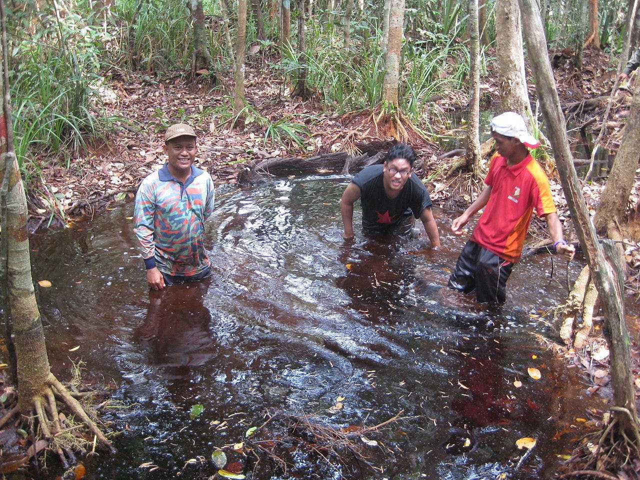 peat soil in malaysia